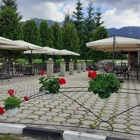 Hotel Cheia Cheia  Zewnętrze zdjęcie