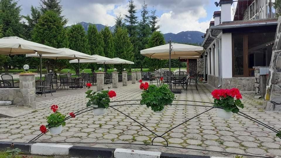 Hotel Cheia Cheia  Zewnętrze zdjęcie