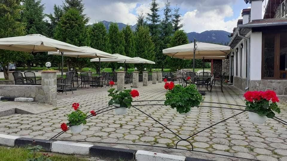 Hotel Cheia Cheia  Zewnętrze zdjęcie