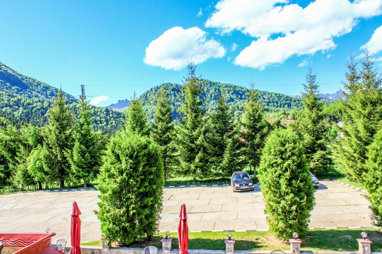 Hotel Cheia Cheia  Zewnętrze zdjęcie